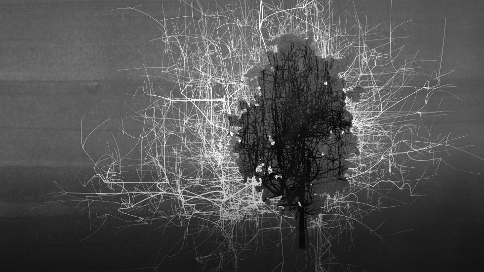 black and white digital image of a tree
