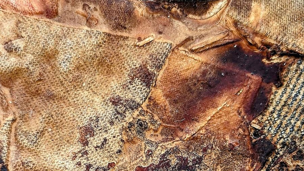 Mycelium